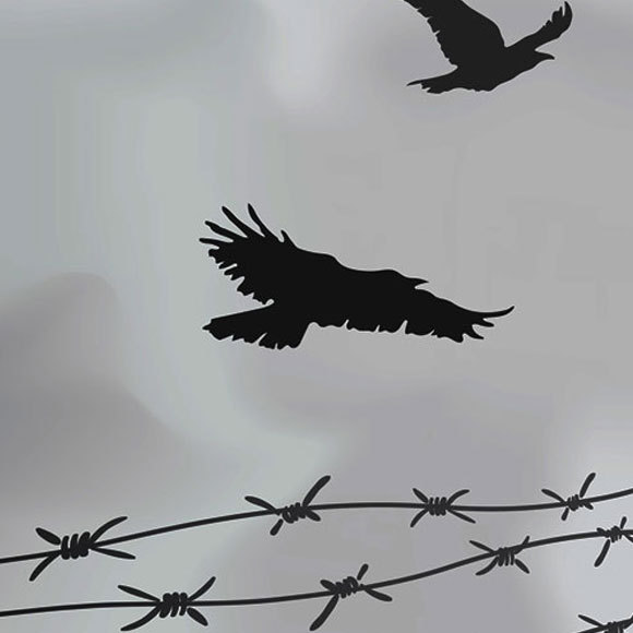 הכימאי שניסה להביא שלום