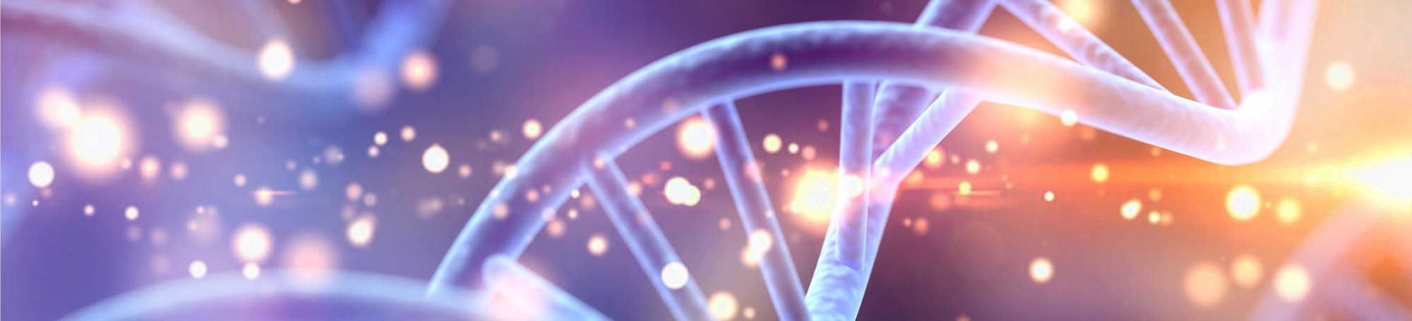 Trivia Junior N.º 13 Trivia del ADN