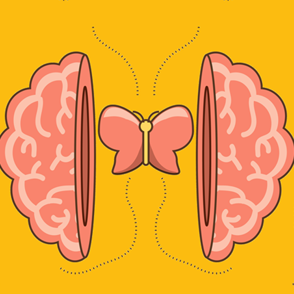 Wissensquiz Junior #20