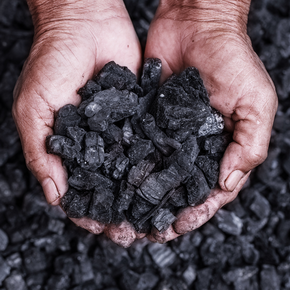 Can Coal and Petroleum Form Today?