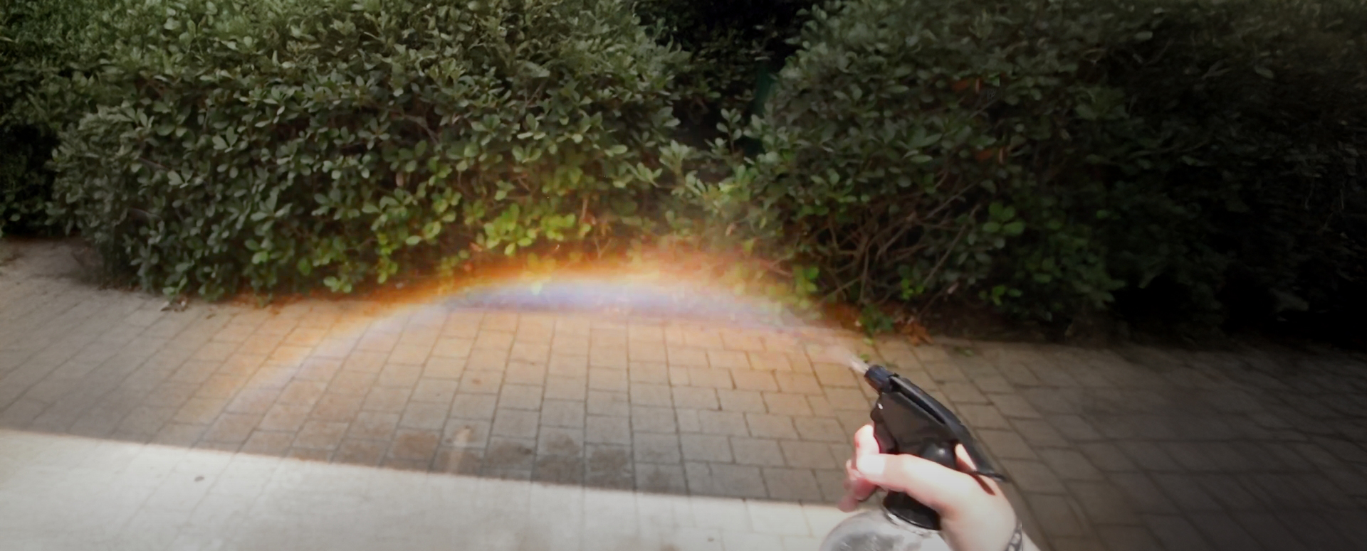 קשת בלי ענן