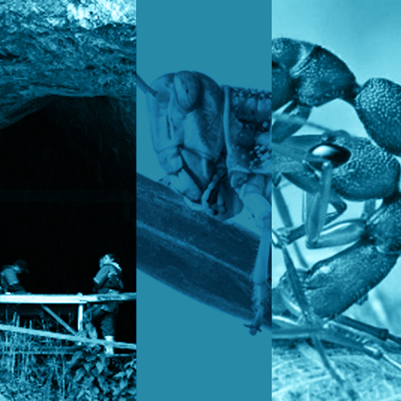 מהנשמדע 30/4 – מחקרים חדשים ביותר