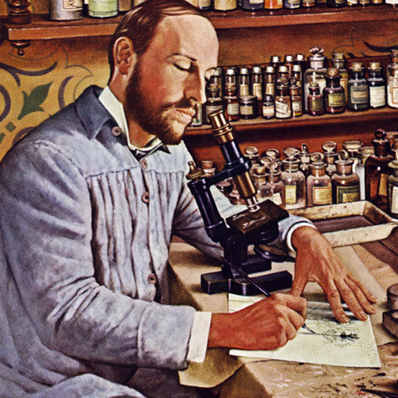 החוקר שנכנס אל המוח