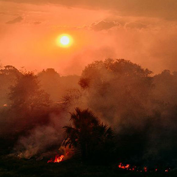 משנים את הסביבה, כבר 85 אלף שנים