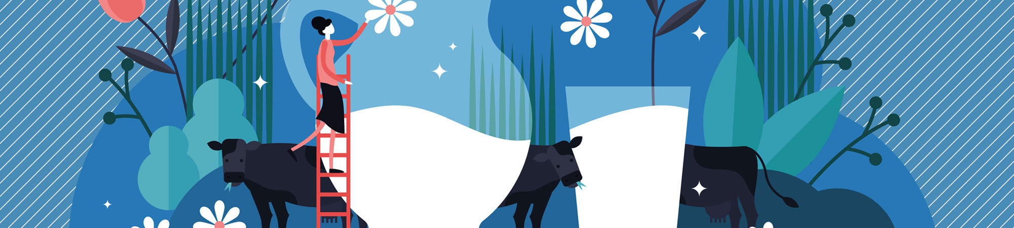 Desafía a tu cerebro N.º 14