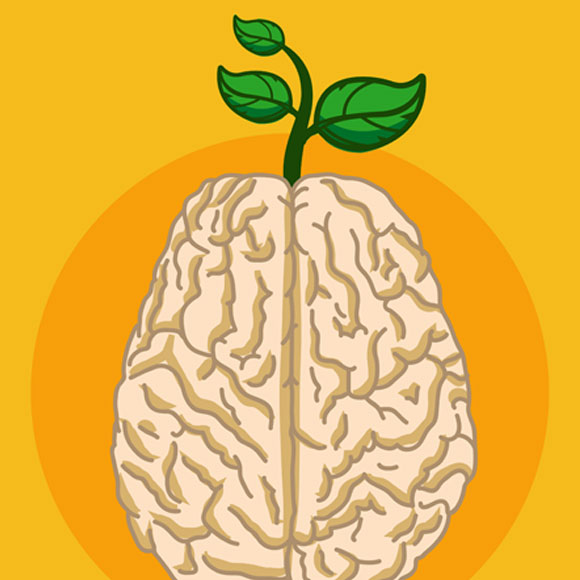 שטיפת מוח ג’וניור: שבועות