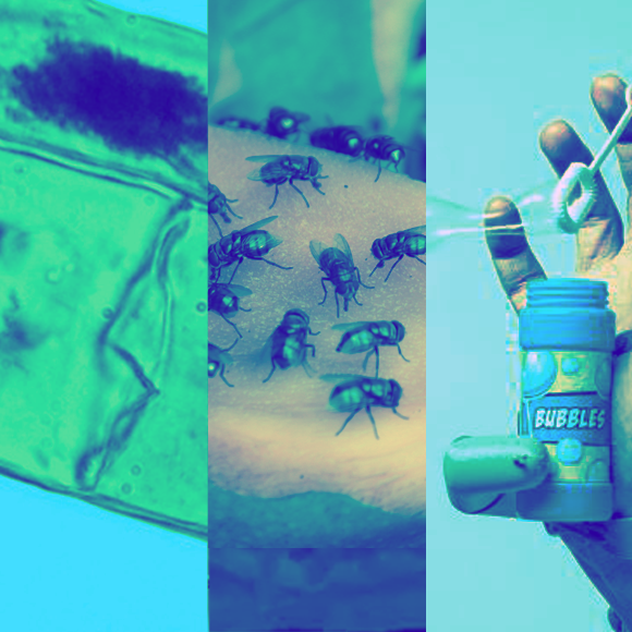 מהנשמדע 5/6 – המחקרים החדשים ביותר