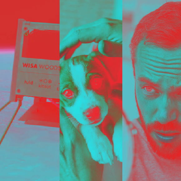 מהנשמדע 25/6 – המחקרים החדשים ביותר