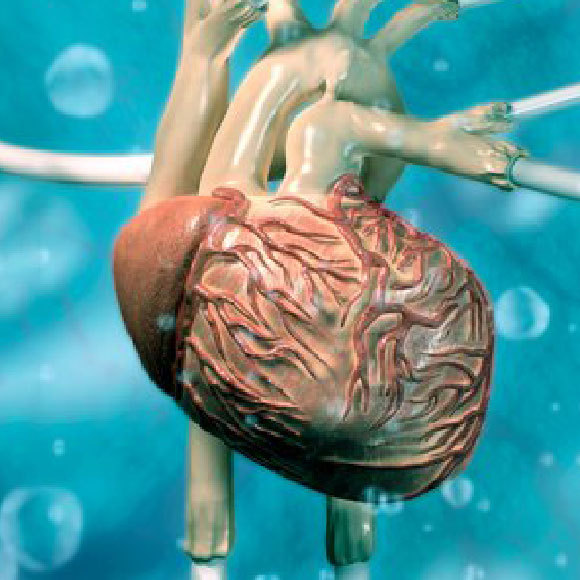 פועם, אבל קטנטן