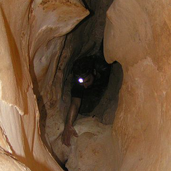 עולם האופל בישראל בסכנה