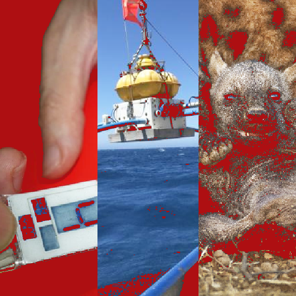 המחקרים החדשים ביותר: מהנשמדע 23/7