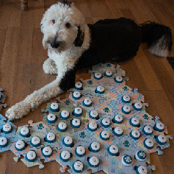 מילה של כלב