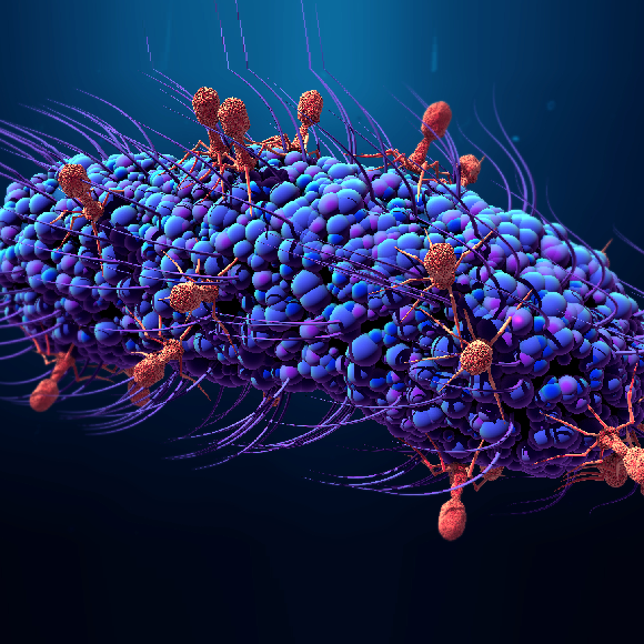 הנגיפים ששינו את שפת ה-DNA