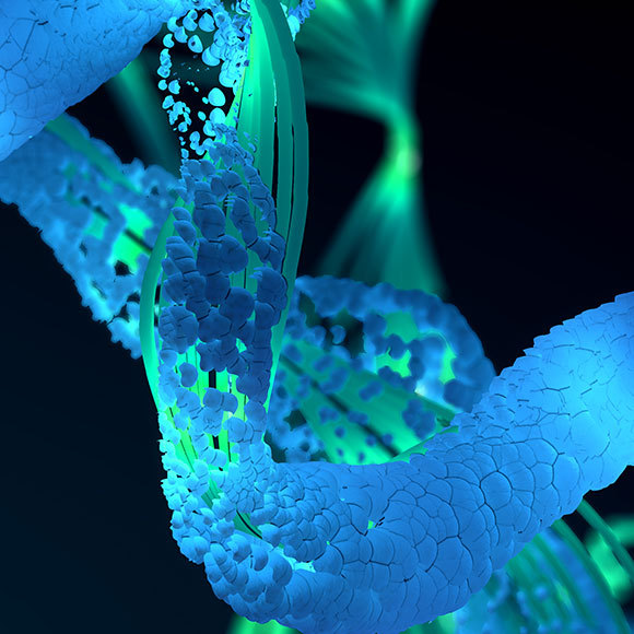 חיזוי המבנה של חלבונים: הקוד נפתח