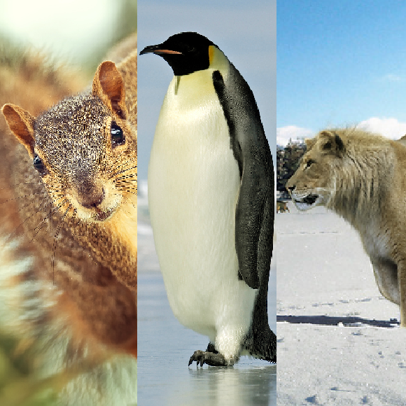 המחקרים החדשים ביותר: מהנשמדע 20/8