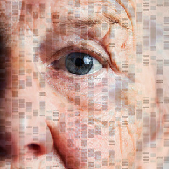 التركيب الجيني لدى المعمّرين