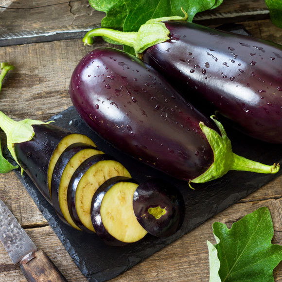 علوم الباذنجان