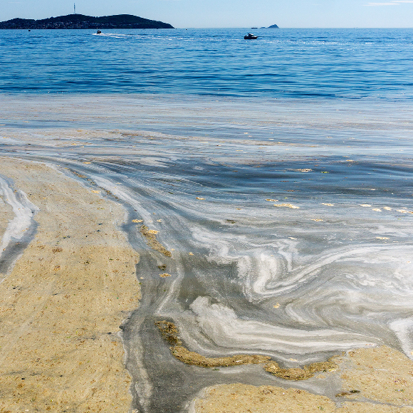 הקרום הלבן של ים מרמרה