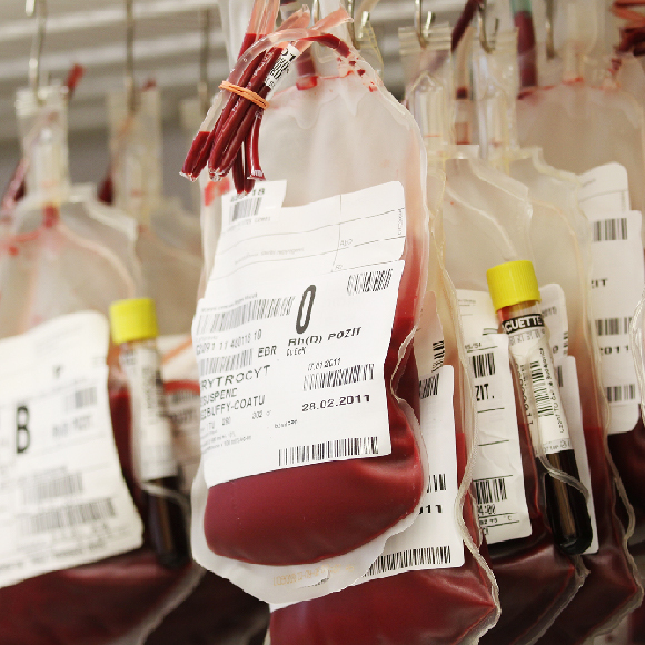 הסיפור המורכב של תרומות הדם