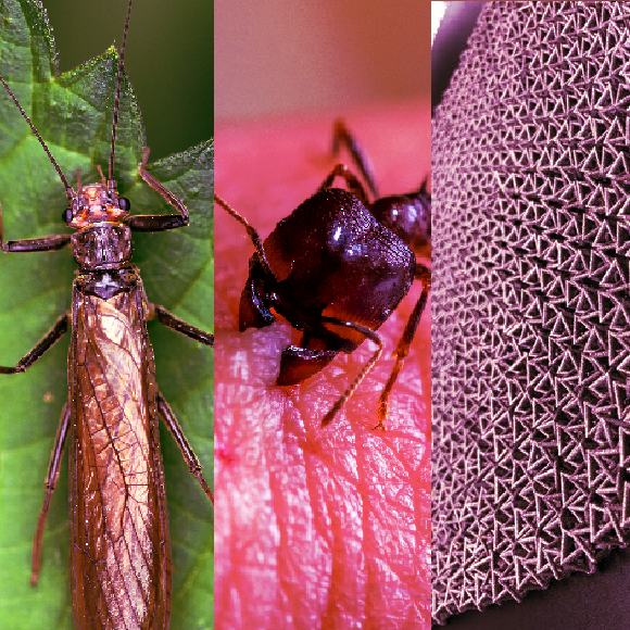 המחקרים החדשים ביותר: מהנשמדע 2/9