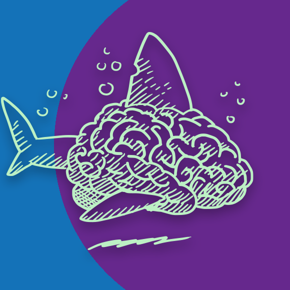 Wissensquiz Junior #29 – Meer