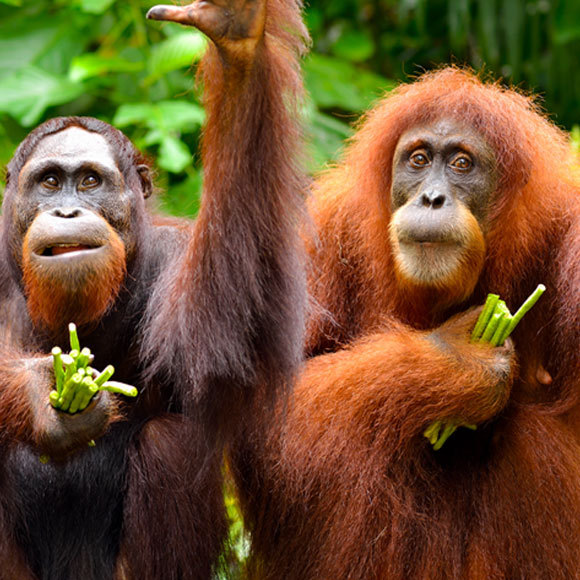 Das täglich Brot teilen