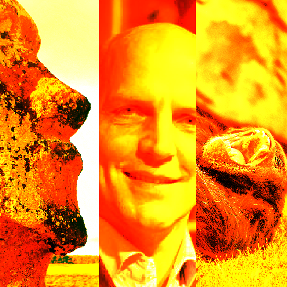 המחקרים החדשים ביותר: מהנשמדע 7/10