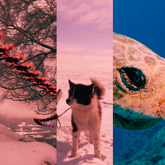 המחקרים החדשים ביותר: מהנשמדע 21/10