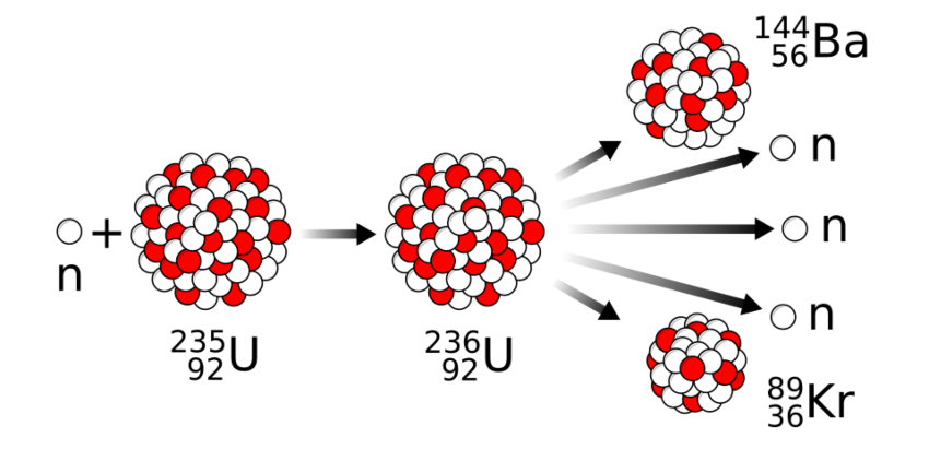 תהליך שמשתחררת בו אנרגיה עצומה. נייטרון חודר לגרעין של אטום אורניום 235, הופך אותו להרף עין לאורניום 236, ואז הוא מתבקע לאטומי קריפטון ובריום, ופולט שלושה נייטרונים שיכולים להמשיך את תגובת השרשרת | איור: MikeRun, Wikipedia