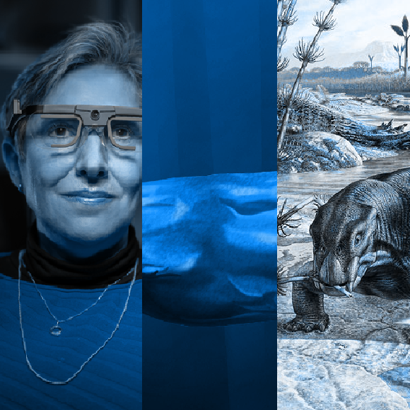 המחקרים החדשים ביותר: מהנשמדע 20/11