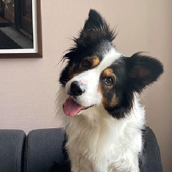 בוחנים את העולם מזווית אחרת