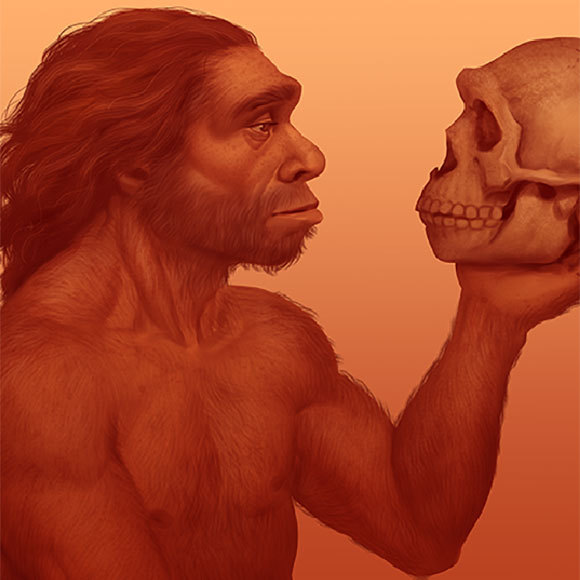 לסת המחלוקת: מי היה אדם נשר-רמלה?