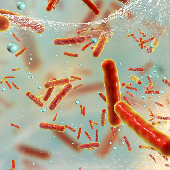 המסלול המהיר לגילוי עמידות לאנטיביוטיקה