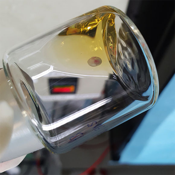 מחוץ לרחם: מחקר ישראלי בין פריצות הדרך של השנה