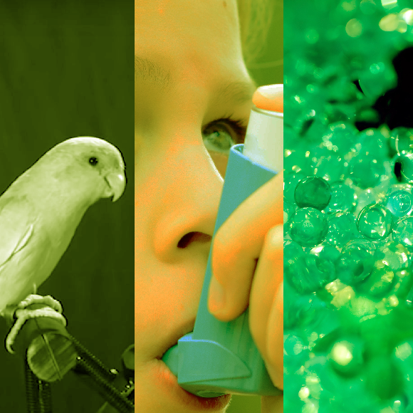 המחקרים החדשים ביותר: מהנשמדע 15/1/22