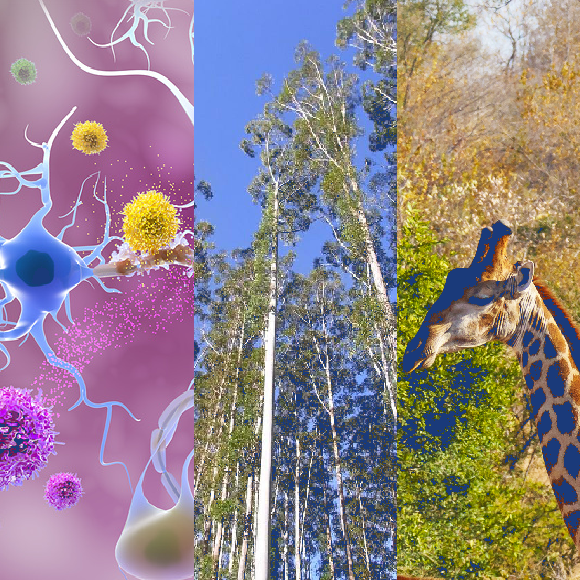 המחקרים החדשים ביותר: מהנשמדע 21/1/22