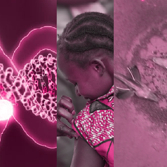 המחקרים החדשים ביותר: מהנשמדע 29/1/22