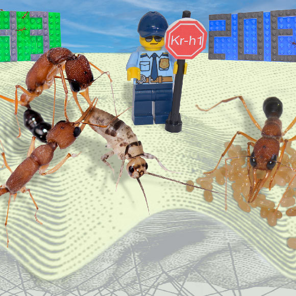 החלבון שממליך פועלות ומדיח מלכות