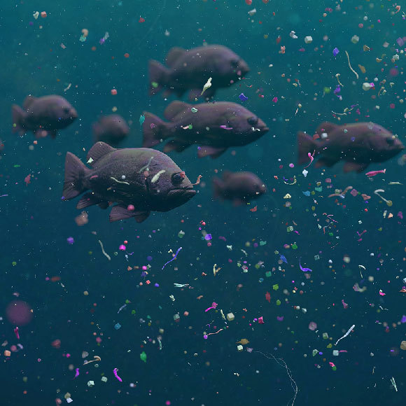 הזיהום הגדול של כדורי הפלסטיק הקטנים