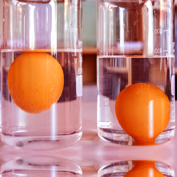 ביצה שוקעת, מרחפת וצפה