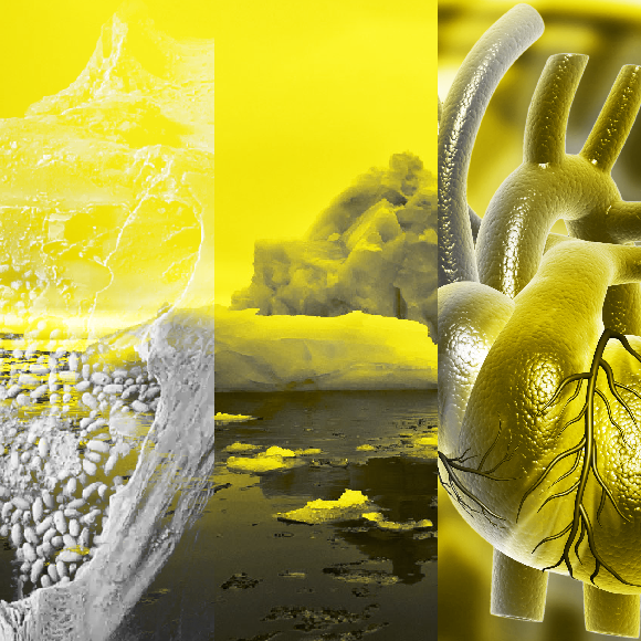 המחקרים החדשים ביותר: מהנשמדע 18/2/22