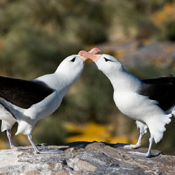 עד ששינויי האקלים יפרידו בינינו