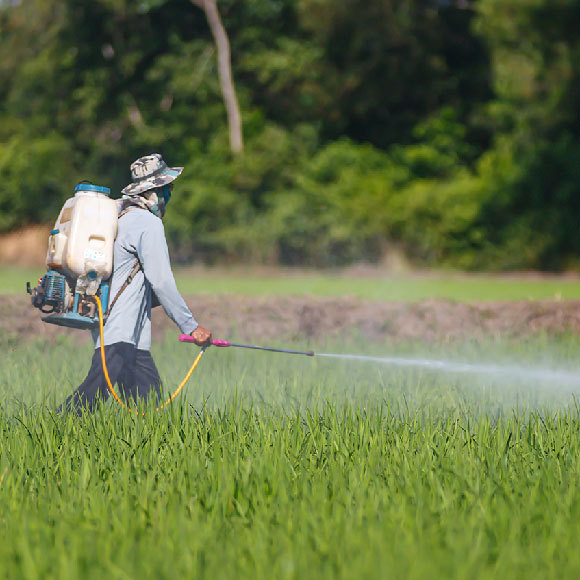 האם חקלאות אורגנית שומרת טוב יותר על הסביבה מחקלאות רגילה? לא בטוח