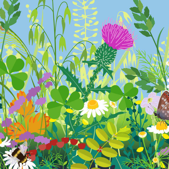 התכשיטים של הטבע