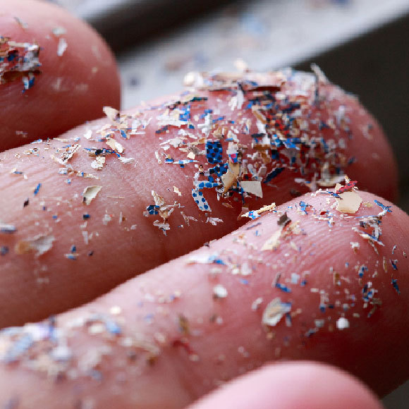 מה אנחנו יודעים על מיקרופלסטיק?