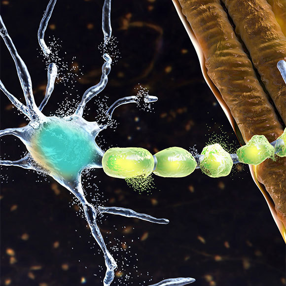 צעד חיוני לצליחת עמק המוות