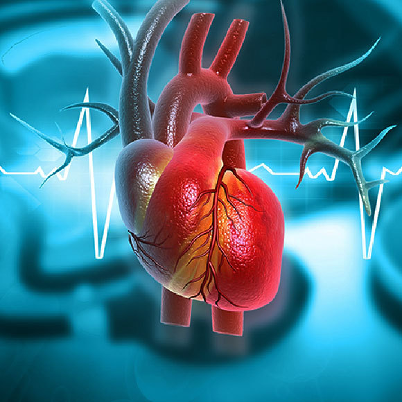 לתקן לב שבור