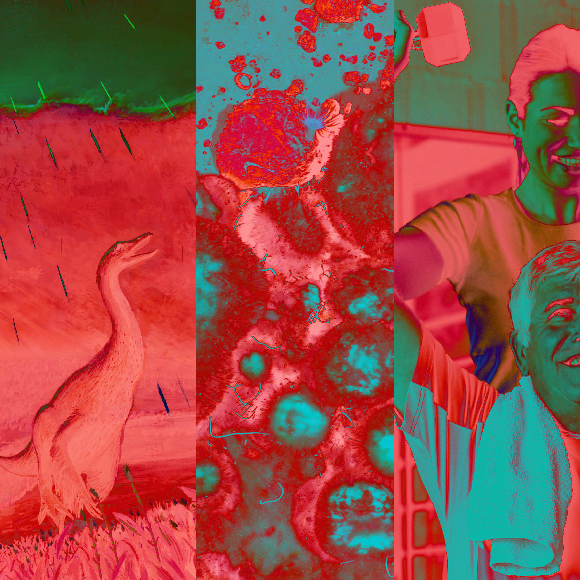 המחקרים החדשים ביותר: מהנשמדע 4/3/22