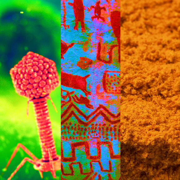 המחקרים החדשים ביותר: מהנשמדע 19/3/22