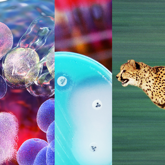 המחקרים החדשים ביותר: מהנשמדע 25/3/22